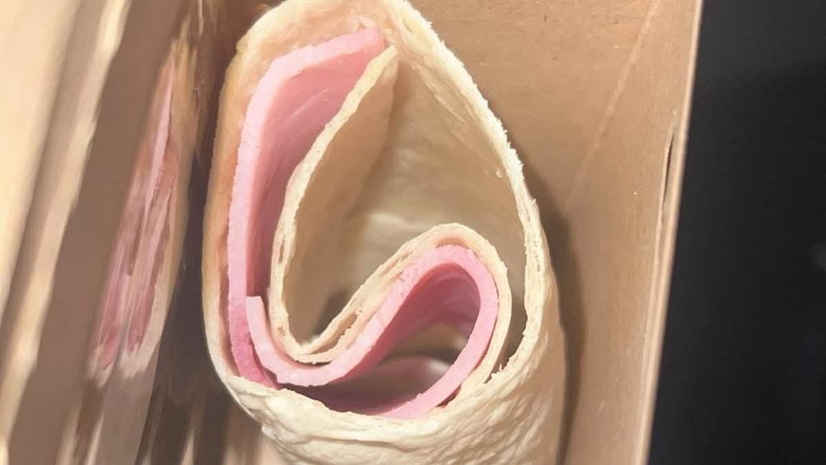 Parents' fury over 'absolutely disgraceful' school lunch wrap with just one meagre slice of ham, Scarborough UTC meals under scrutiny