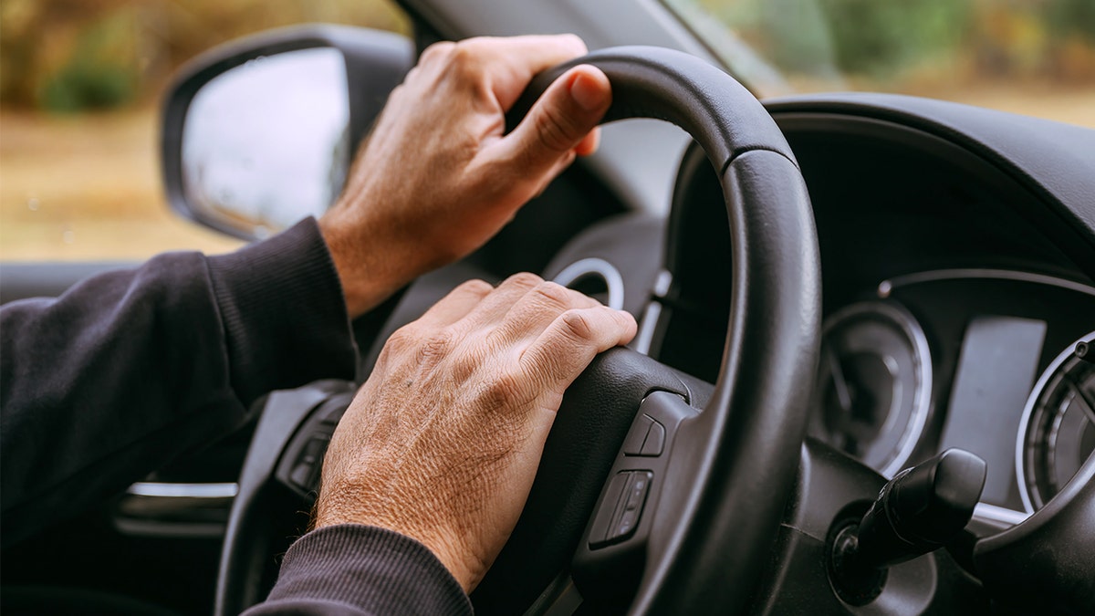 AAA road rage study image