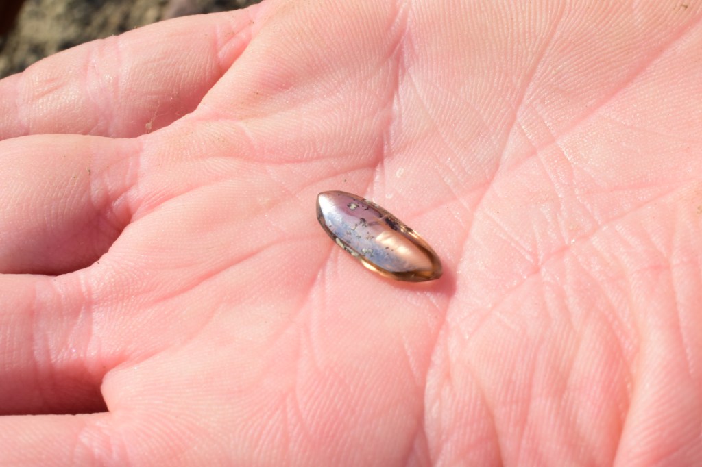Oklahoma family uncovers 2.79-carat brown diamond at Crater of Diamonds State Park