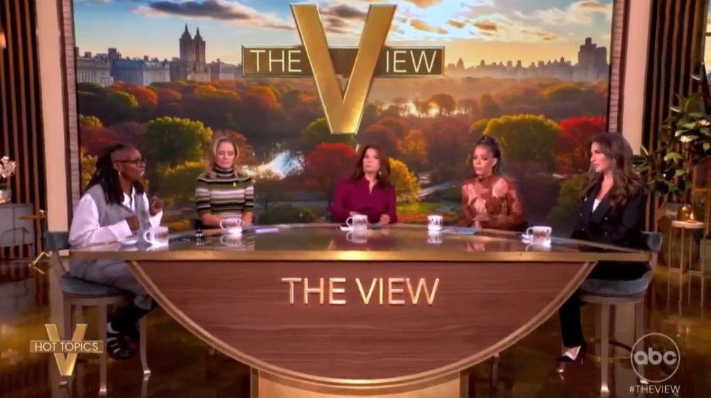 The View hosts during discussion
