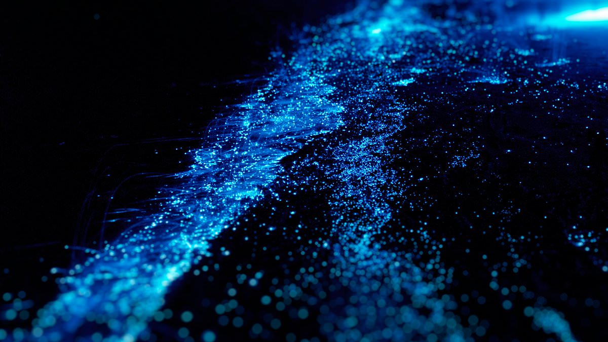 Maldives’ “Sea of Stars” is a bioluminescent plankton show, not a fixed sea
