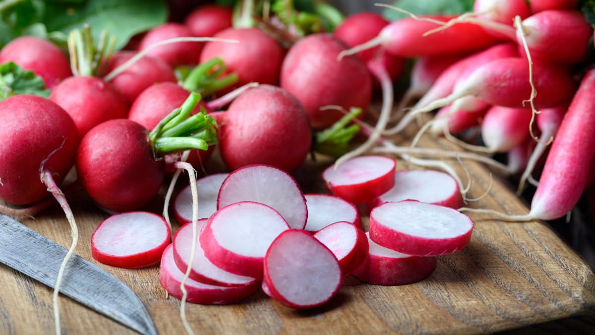 Nanoplastics reach edible parts of radishes in Plymouth study