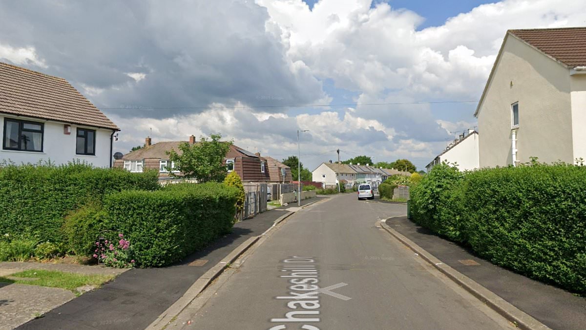 Nine-year-old girl shot three times in racially aggravated assault; police hunt teen with airgun