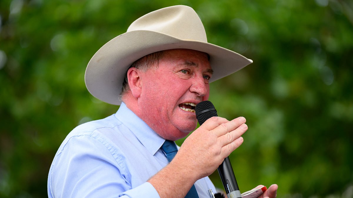 Barnaby Joyce headlines Sydney anti-immigration rally on day of reflection