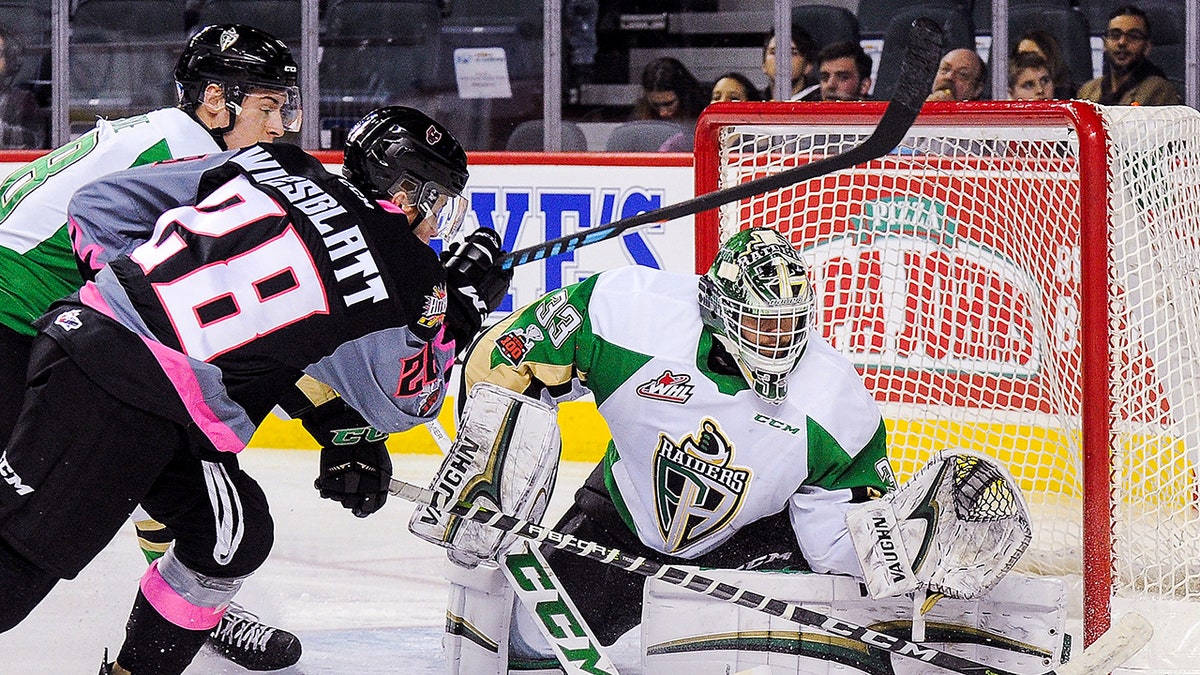 Orca Wiesblatt in action 3