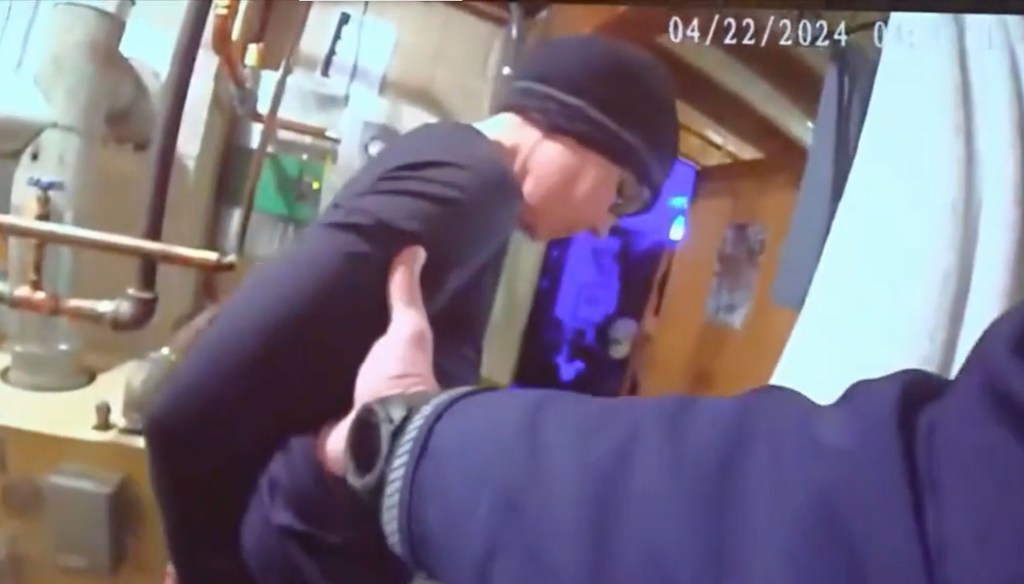 Ex-Minnesota senator Nicole Mitchell