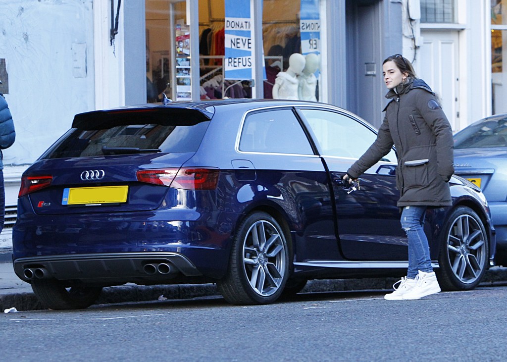 Emma Watson on Venice red carpet