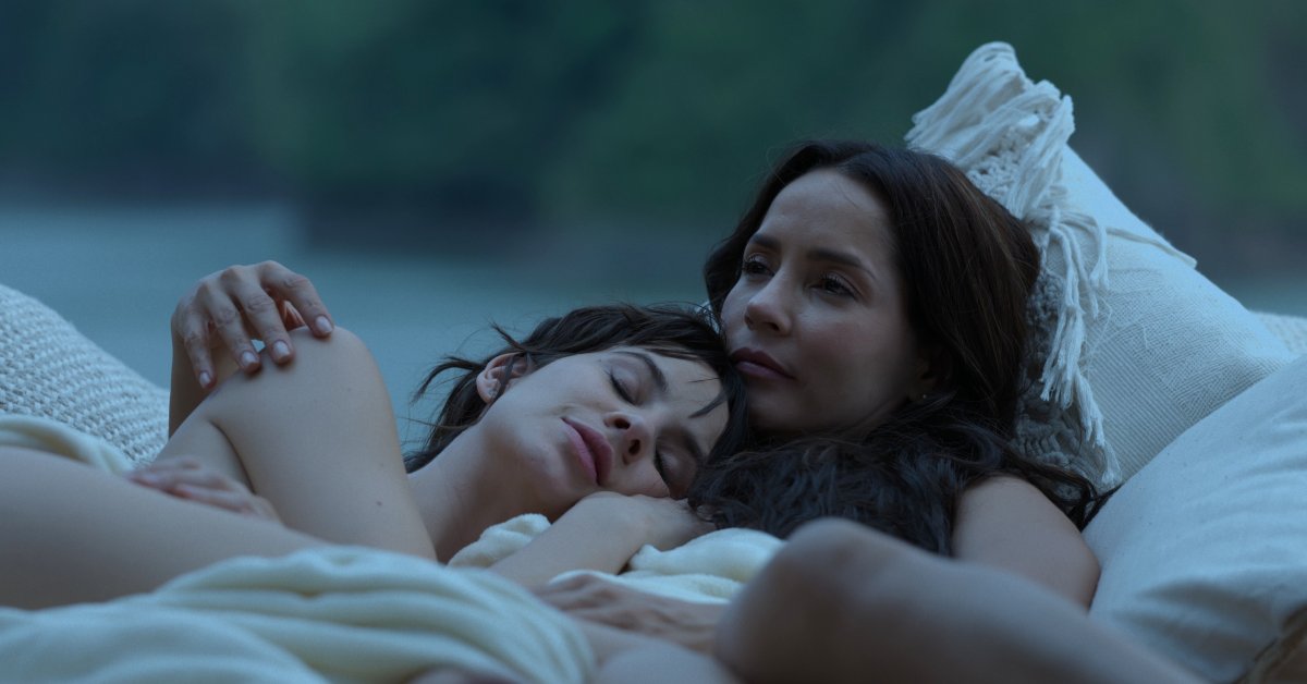 Dark ending unfolds in Netflix thriller The Guest