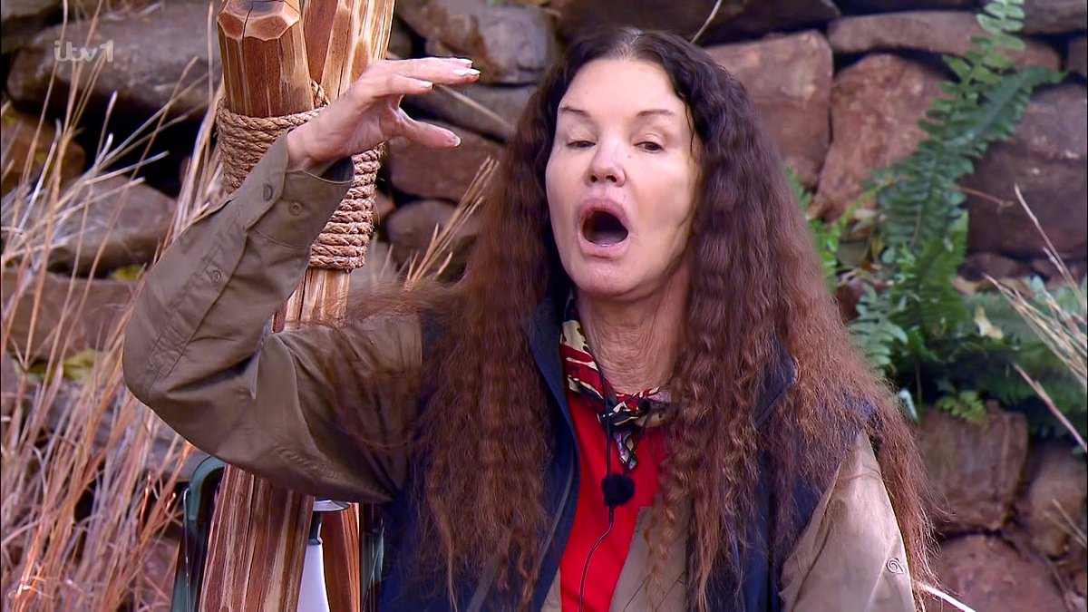 Janice Dickinson sues ITV over I'm a Celebrity accident, claiming head and facial injuries