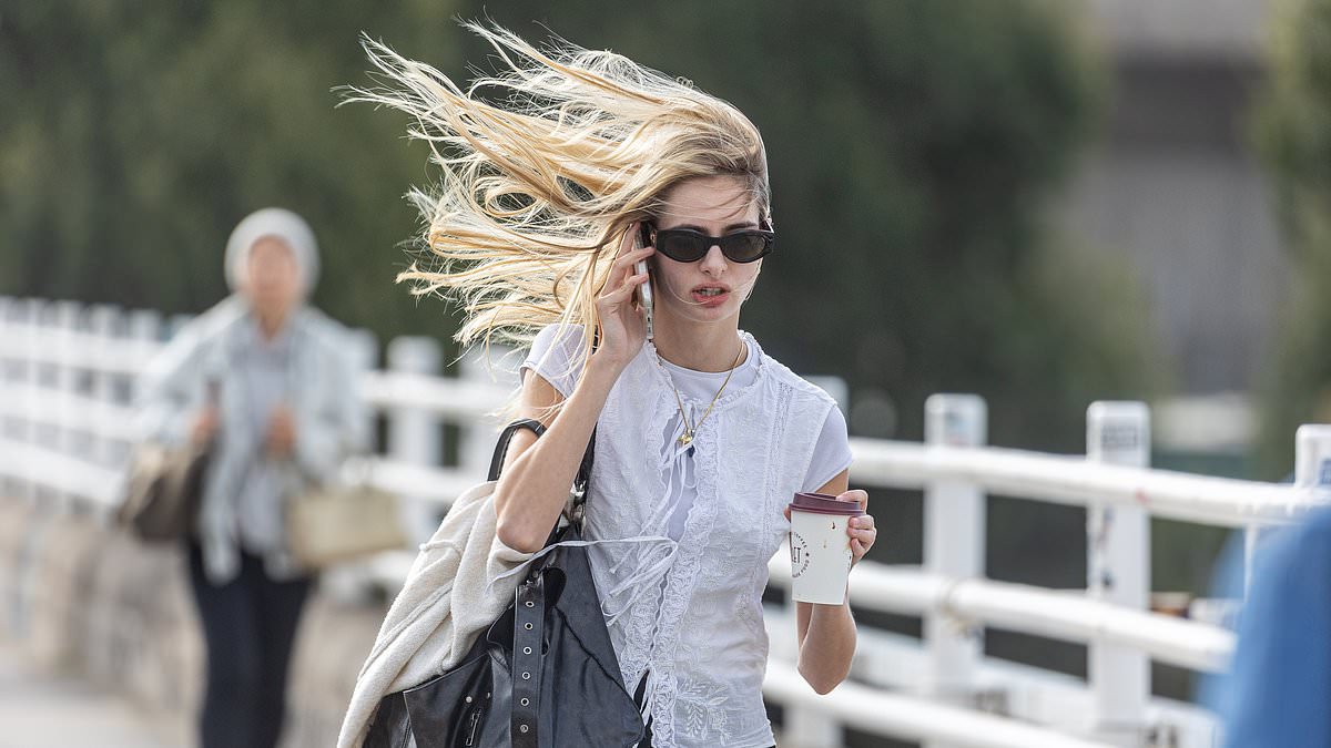 Gales of up to 78 mph force park and transport closures as Met Office issues UK-wide yellow warning