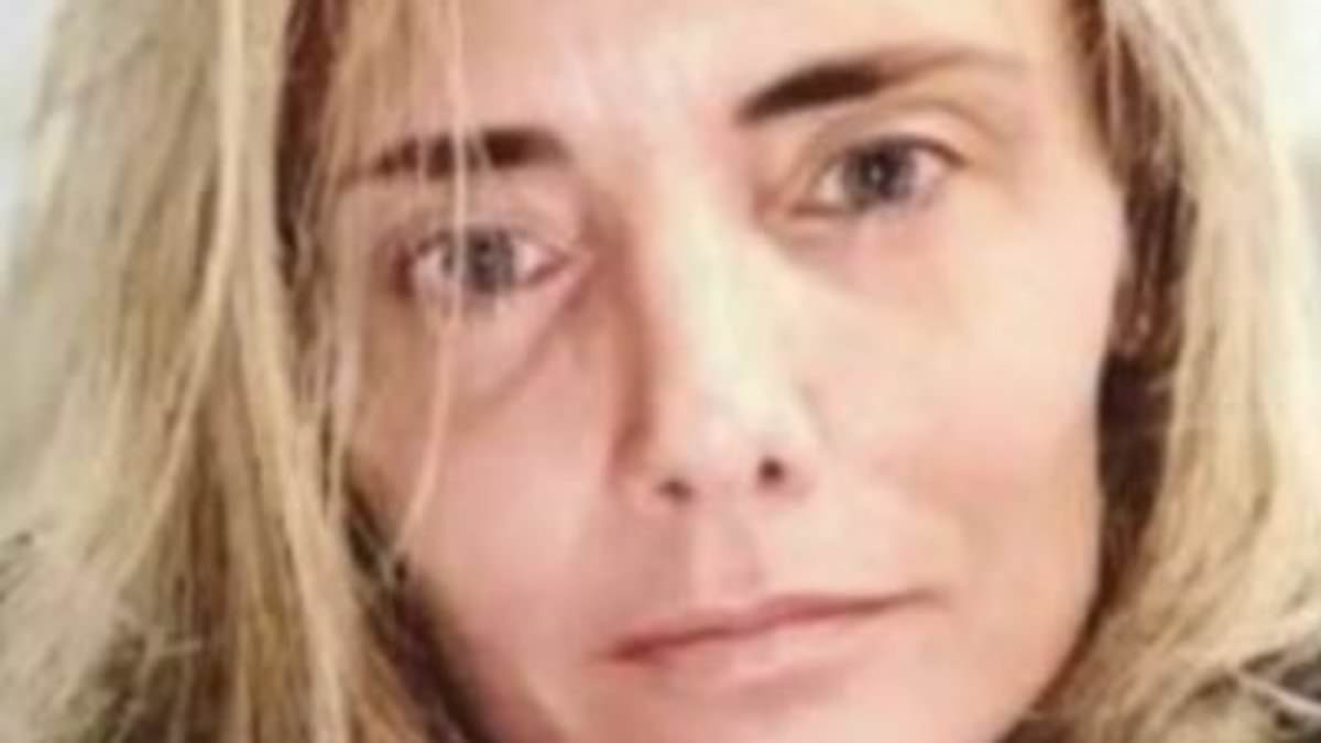 French victim of AI‑faked Brad Pitt romance details £700,000 loss and divorce in new book