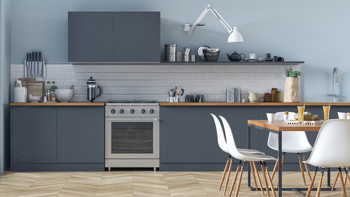 Harvard-trained doctor warns against three common kitchen items, citing possible health risks