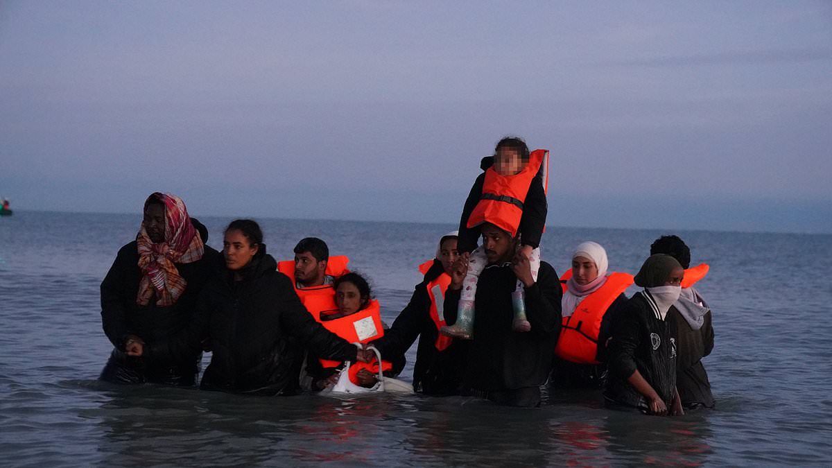 UK digital ID plan fuels debate as Starmer targets illegal migration