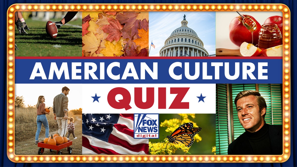 Quiz collage 2