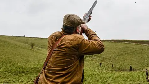 Calls grow in Wales for stricter rules on releasing gamebirds amid avian flu concerns