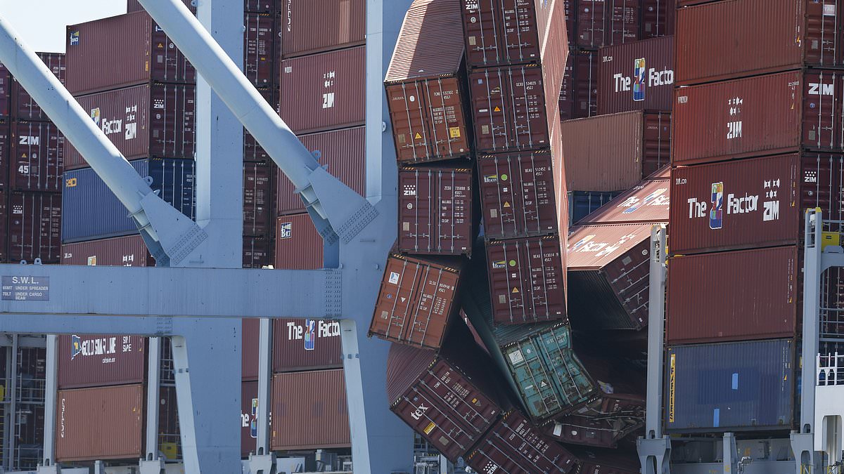 Dozens of Shipping Containers Fall from Vessel at Port of Long Beach, Halting Operations