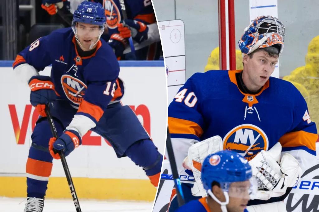 Islanders miss start of training camp as Varlamov and Engvall sidelined