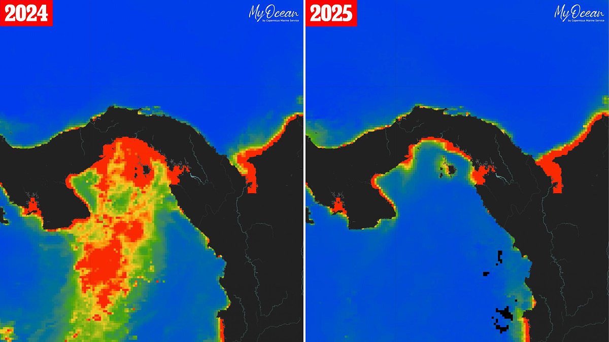 Panama Pacific upwelling fails for first time in decades, scientists warn of severe ecological impacts
