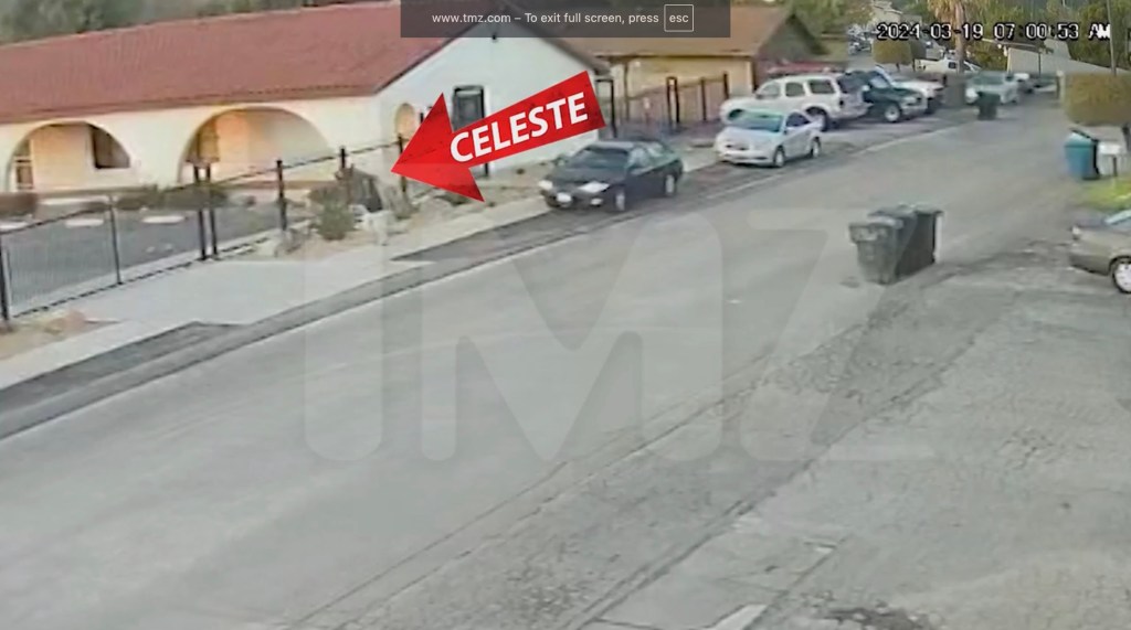 TMZ-related image from the case