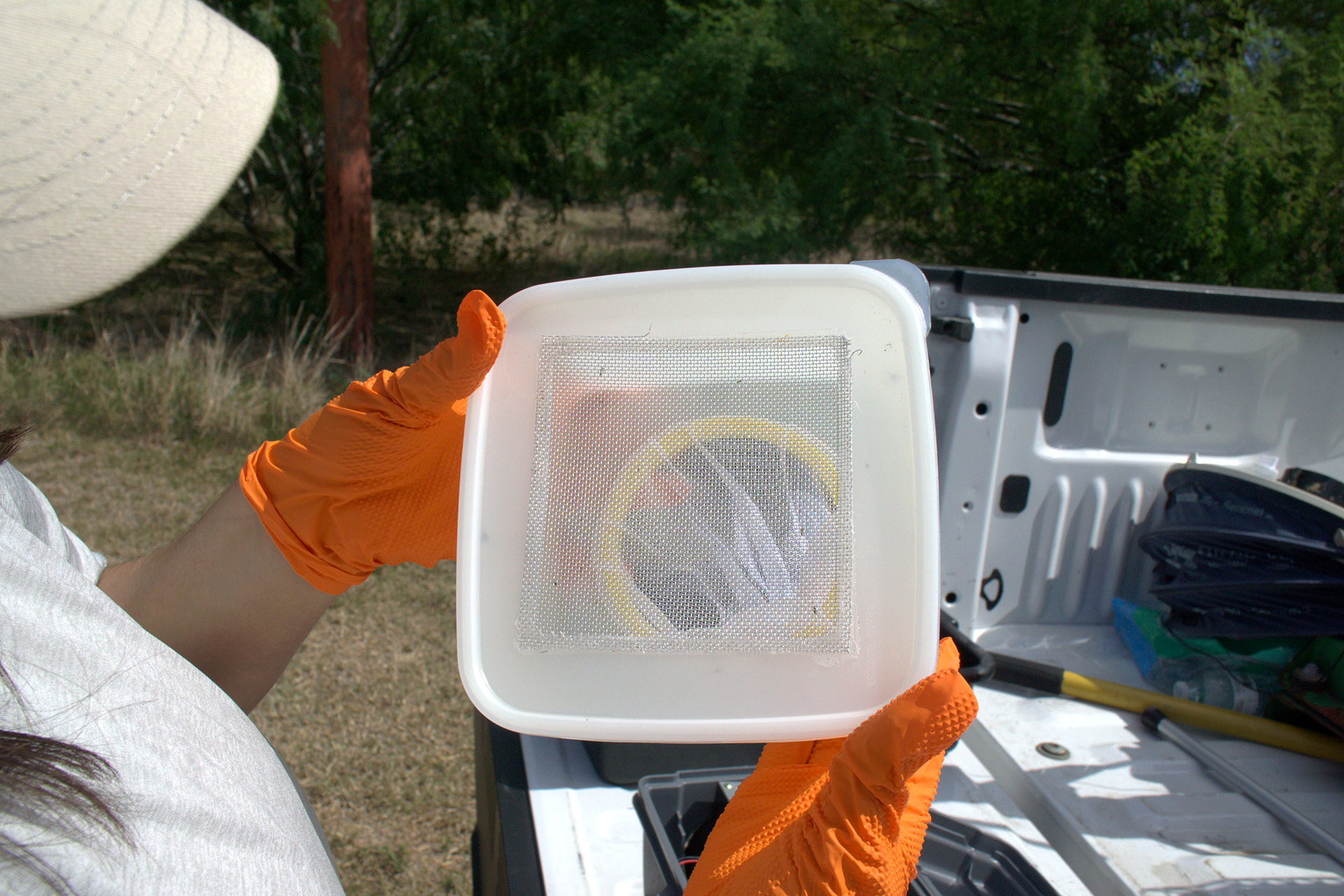 Mosquito trap and roadside habitat