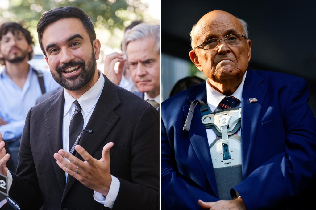 Zohran Mamdani campaign image