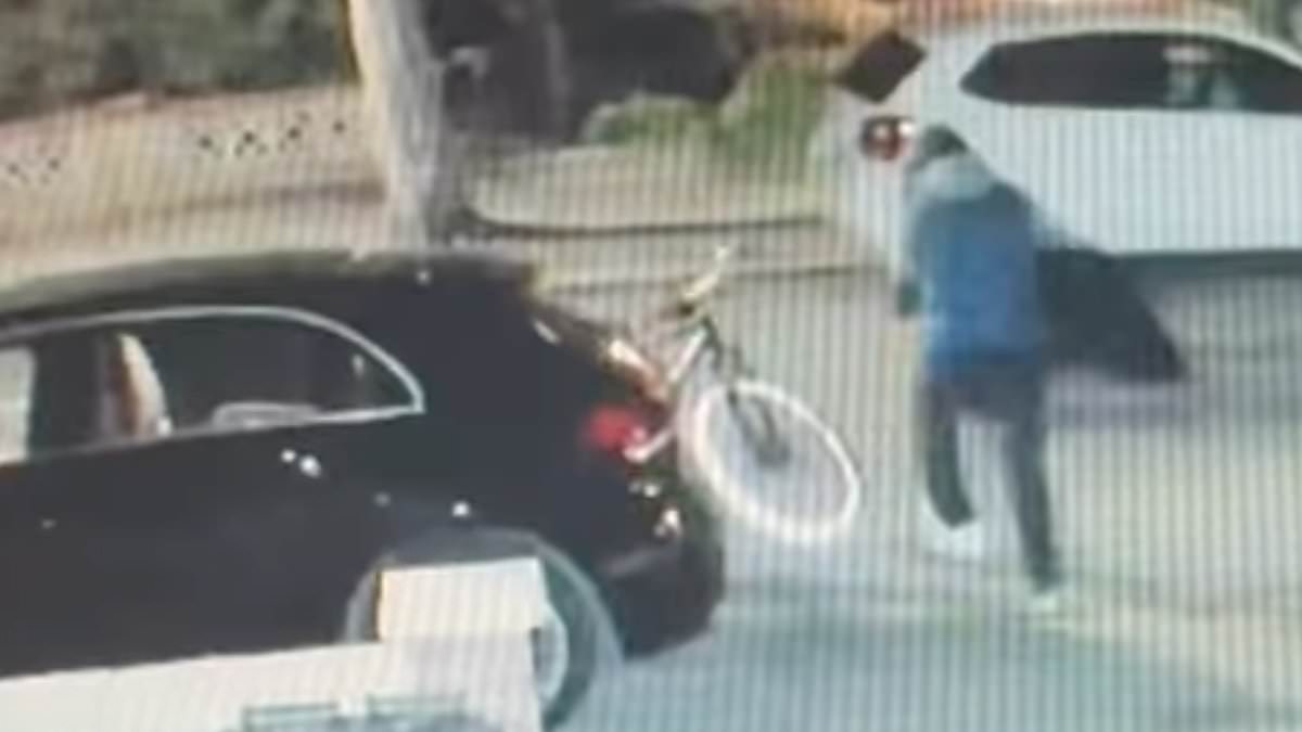 Lime-bike crime wave hits London's affluent suburbs with parcel-shelf thefts