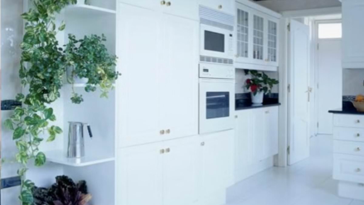 Interior designer warns homeowners away from white paint, favors warm tones