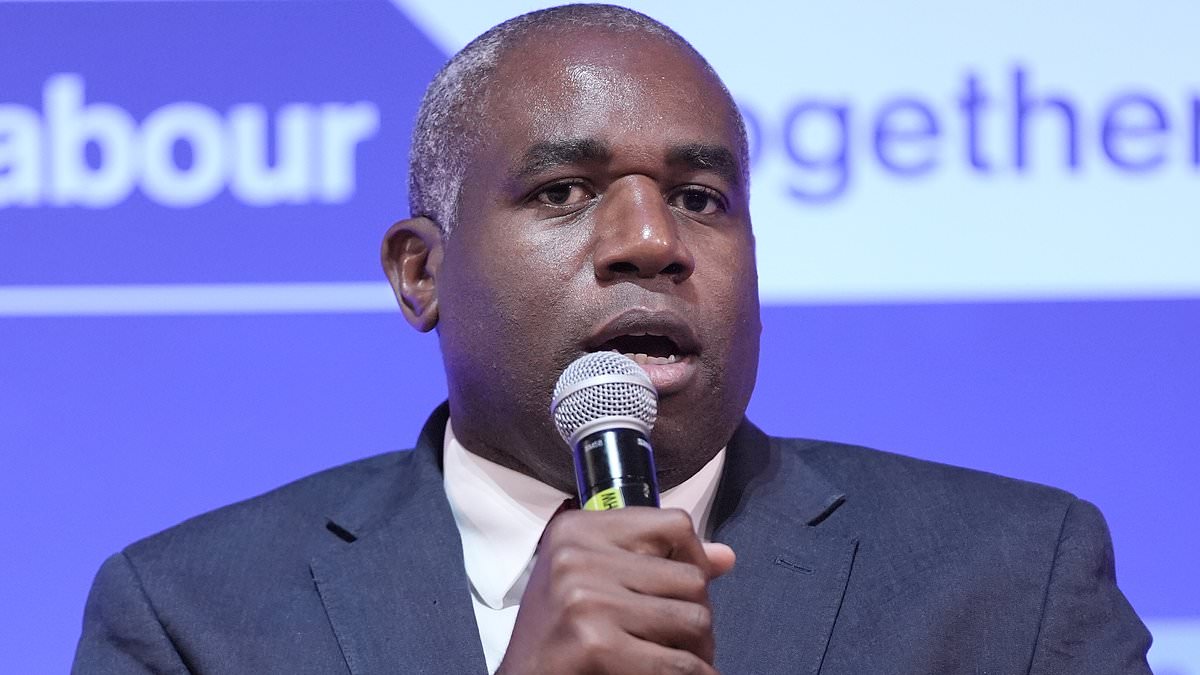 Lammy bets Labour could hold power for a record 22 years this century