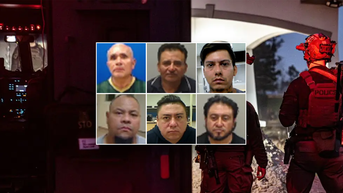 illinois-illegals-arrested-by-ice