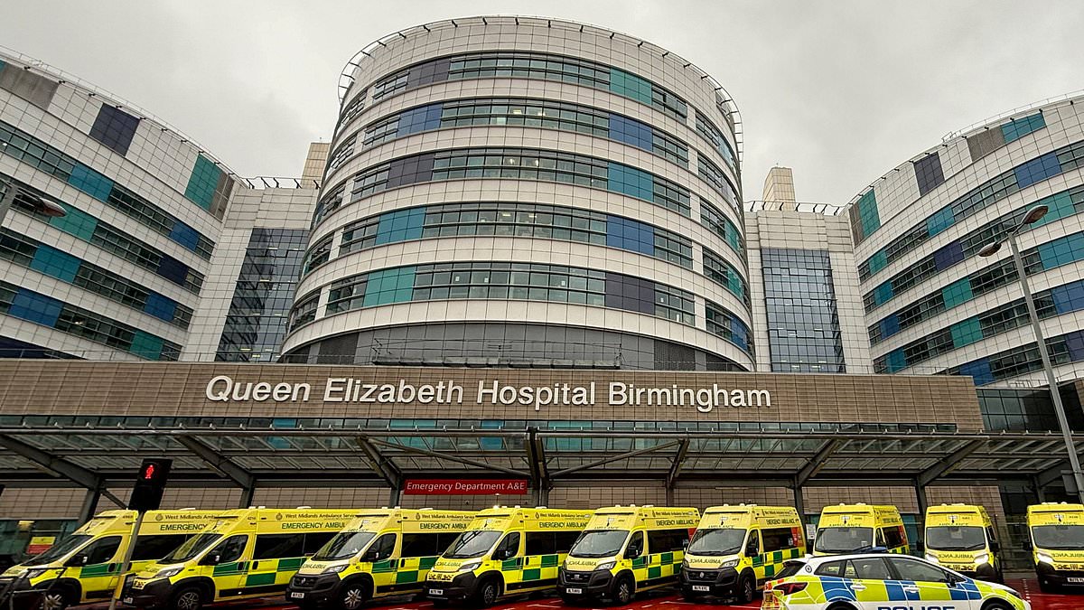 Flu surge strains NHS as hospitalisations reach record levels amid ongoing doctor strikes