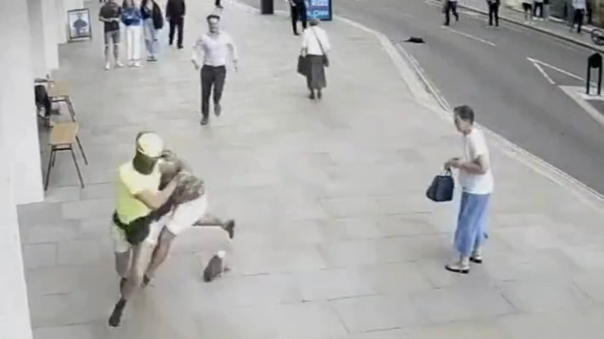 London 'Cinderella' phone snatcher jailed after bystanders knock him off his bike