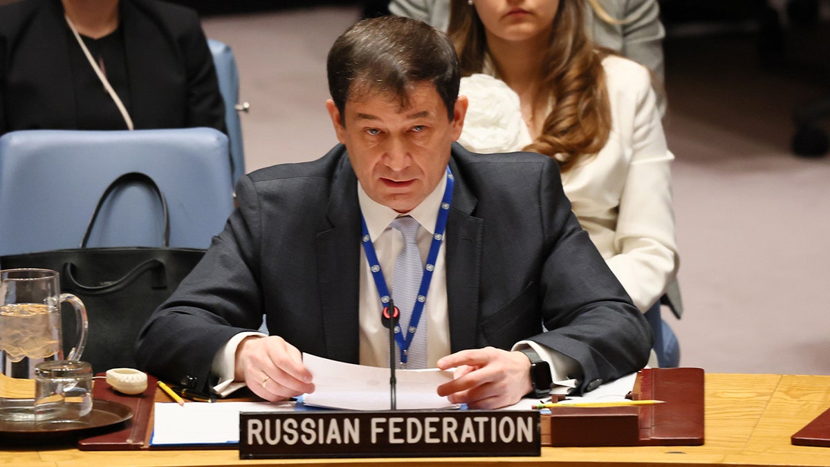 Dmitry Polyanskiy at UN briefing