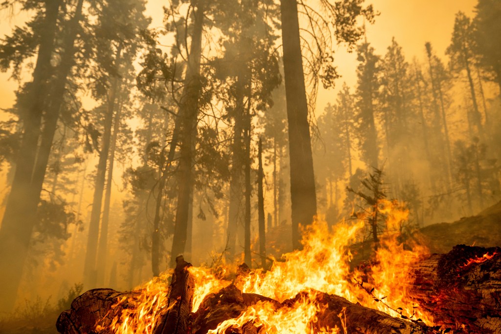 Firefighters near McKinley Grove