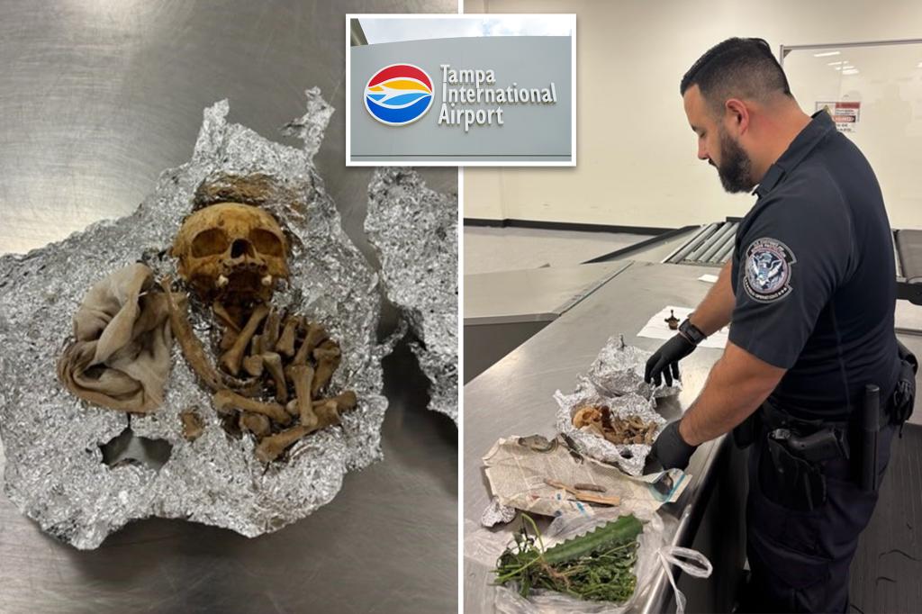 Suspected human remains found in traveler’s luggage at Florida airport; authorities investigate