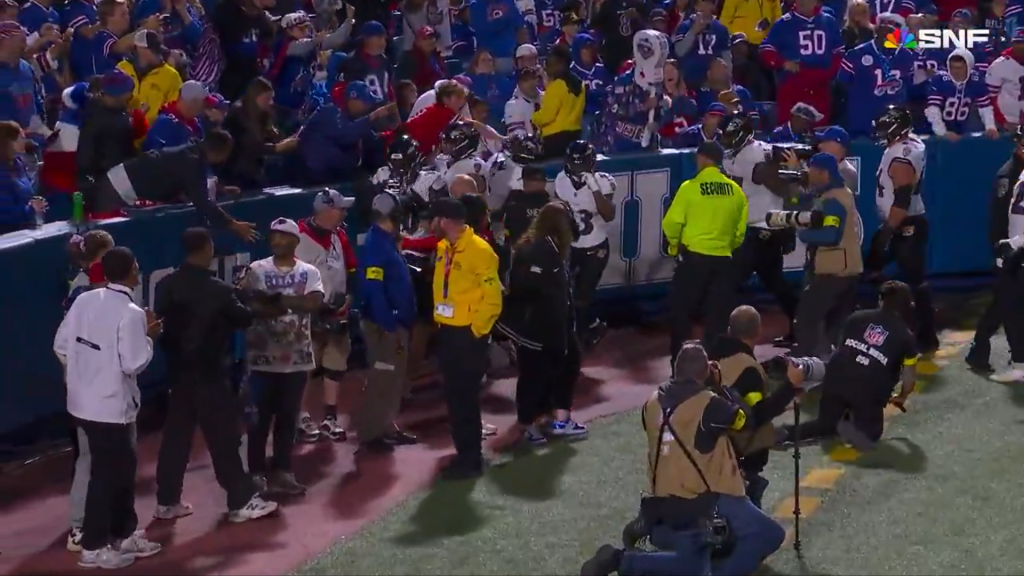 Fan appears to hit Hopkins on the helmet after the touchdown