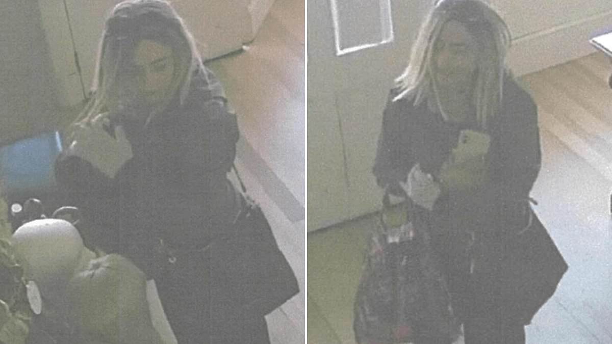 Melbourne wig theft of cancer patients’ wigs branded 'heartless' by police