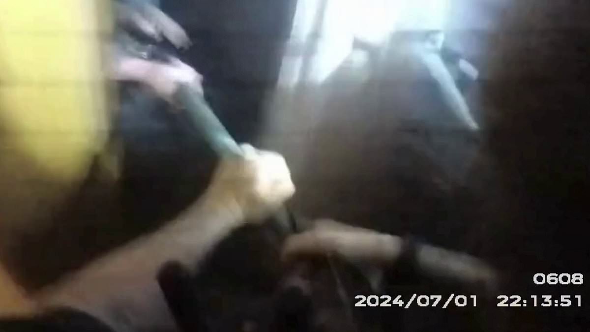 Police dog saves handler from shovel-wielding arsonist in Hull