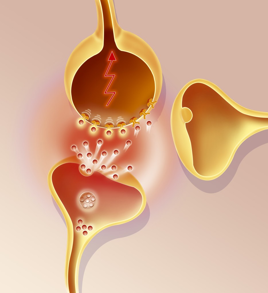 Magnesium L-threonate touted to reduce stress, aid sleep and memory