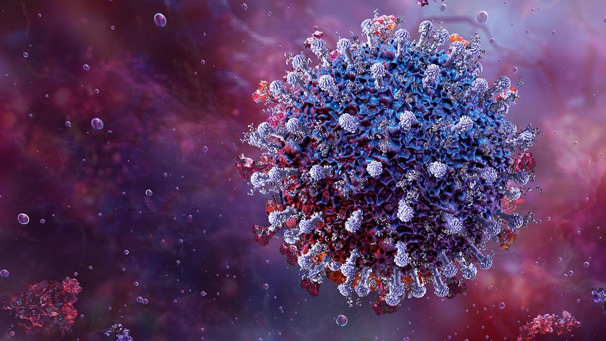 Stratus variant becomes predominant in U.S. as nine states report rising COVID-19 cases