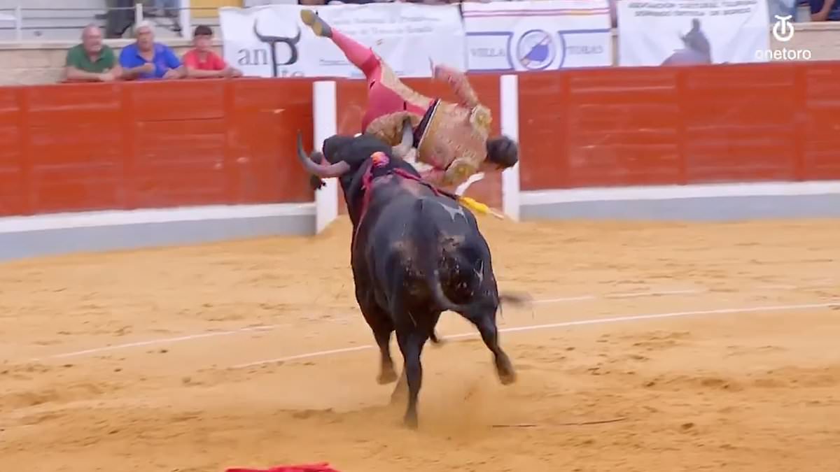 Portuguese matador gored and hospitalized after bull tosses him during Toledo corrida