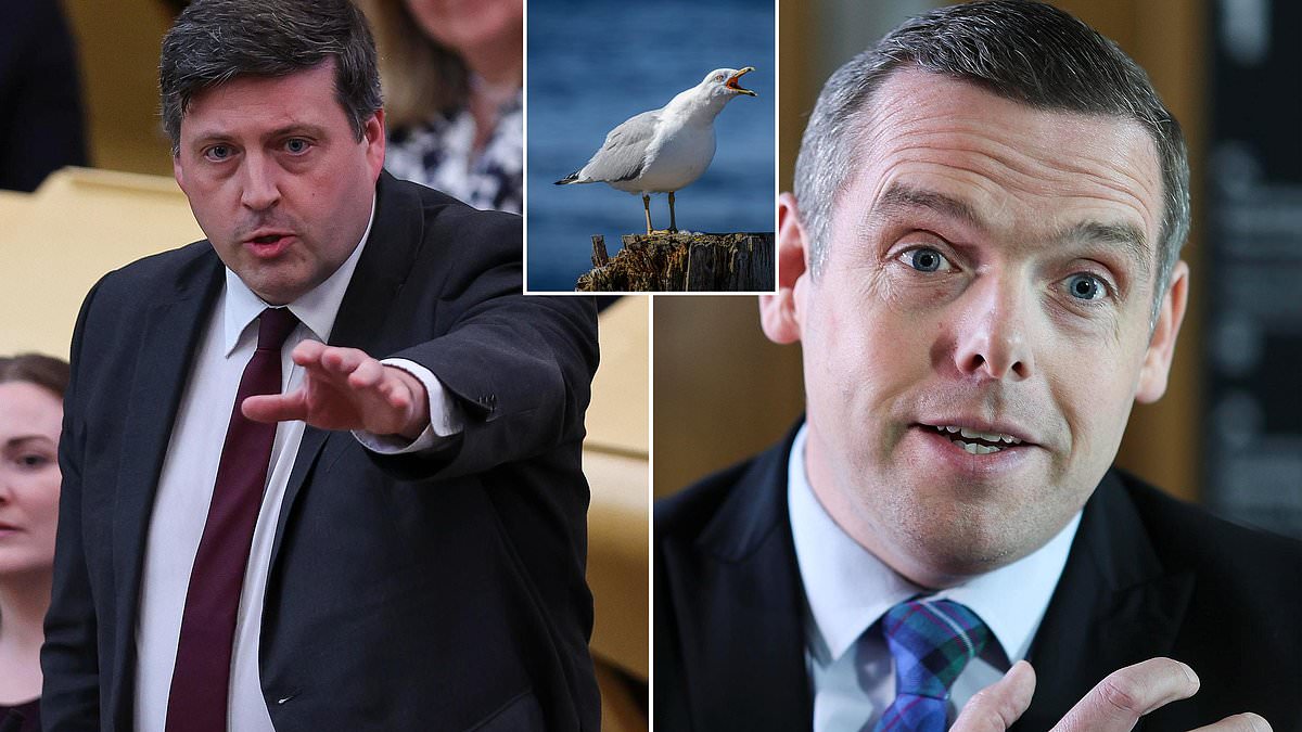 SNP minister accused of assault in row over seagull summit