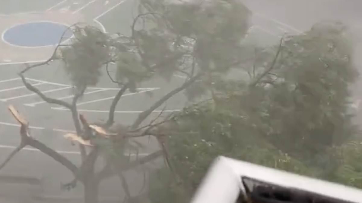 ‘Biblical’ storms lash Spain as Mediterranean braces for extreme rainfall and flooding