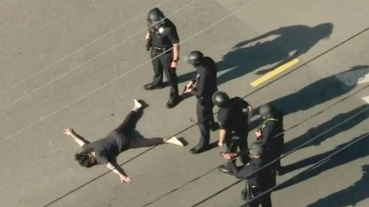 Wife of Weezer bassist avoids jail time in LAPD shooting case through mental health diversion