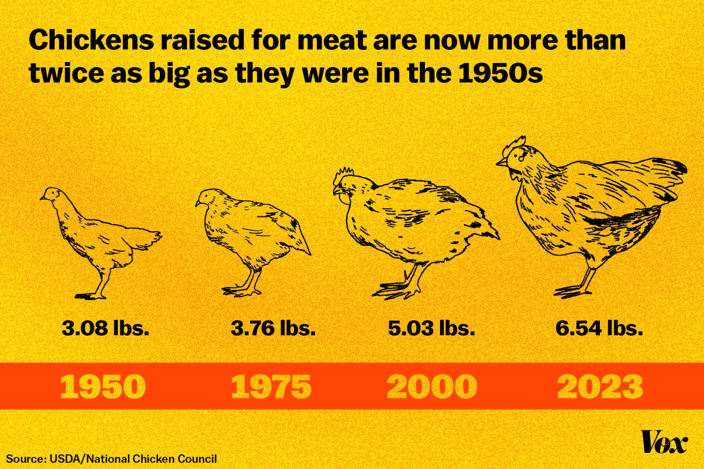 New analysis links low-cost path to reducing chicken suffering: slower-growing breeds could cut pain hours at pennies per hour