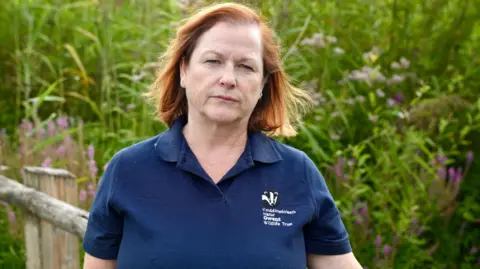 Conservationists warn large solar farms threaten rare wildlife on Gwent Levels