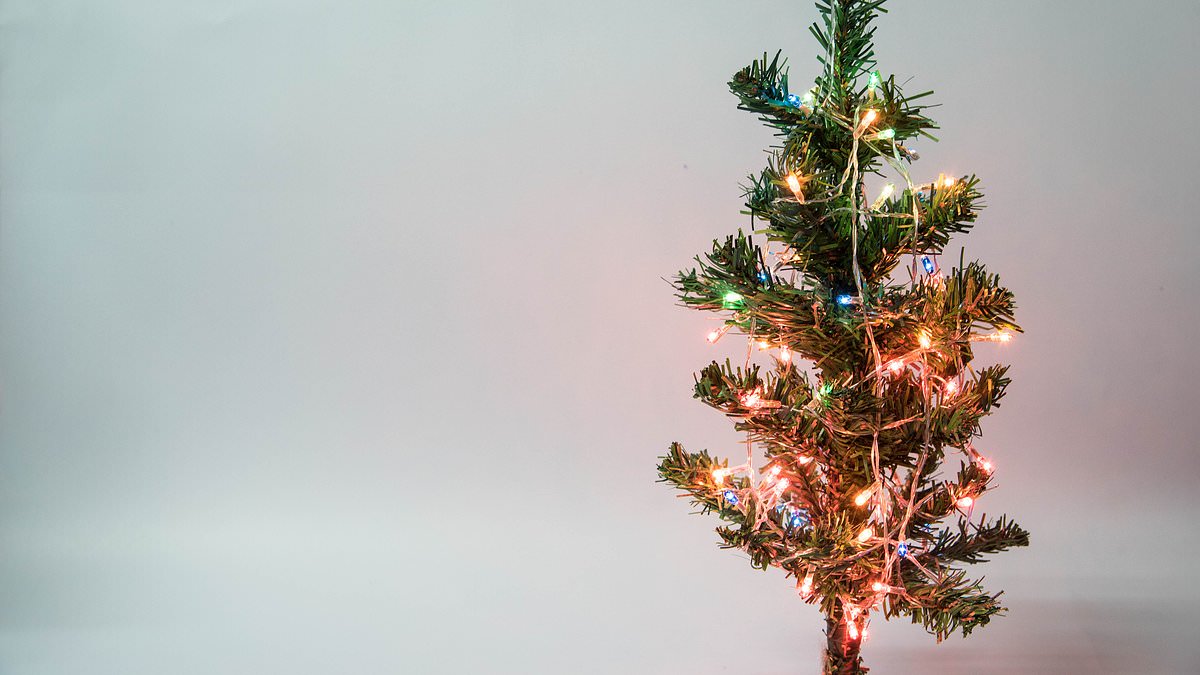 University worker sues for racial harassment after boss banned her from putting up Christmas tree in November