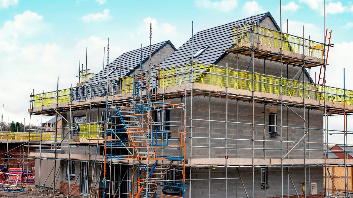 Barratt Redrow urges government to back first‑time buyers as completions fall short of targets