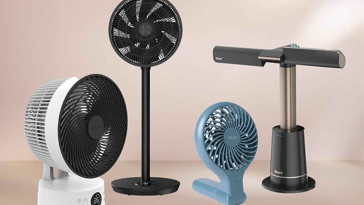 Best fan 2025 roundup highlights MeacoFan 1056P as best overall