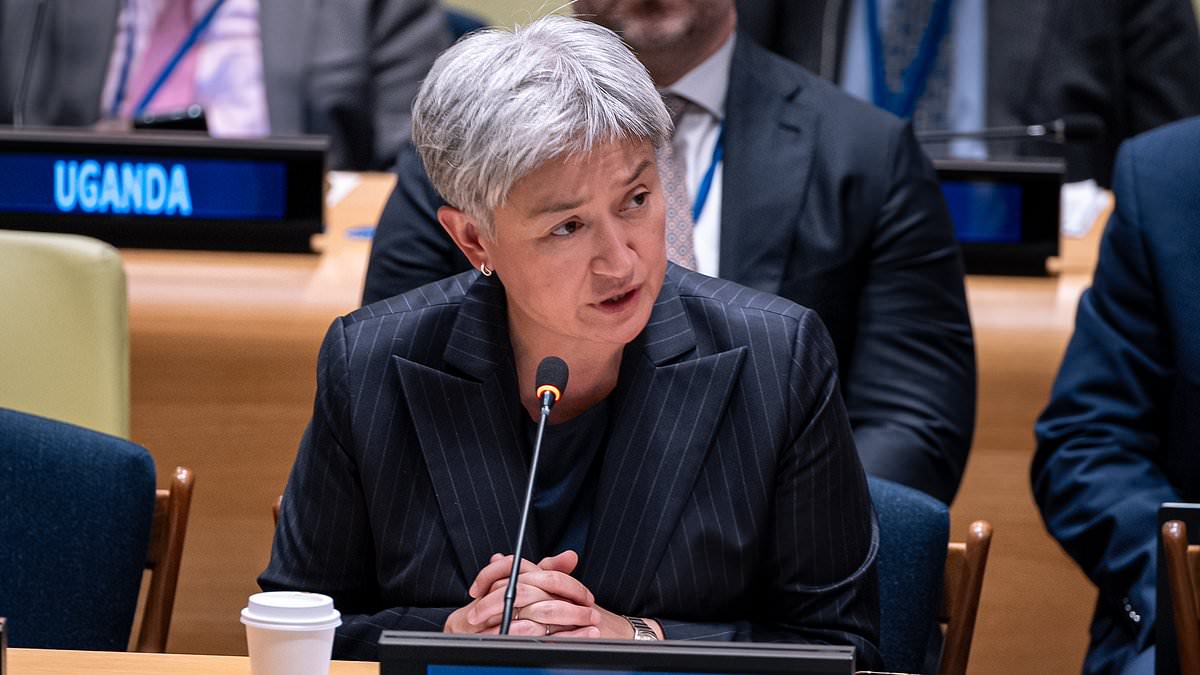 Wong warns AI could trigger nuclear war at UN, urges global governance