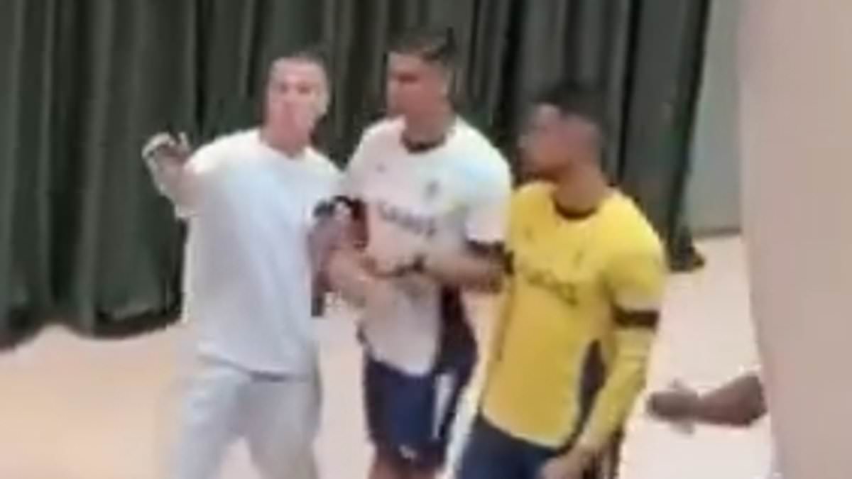 Lip-reader says Cristiano Ronaldo used expletive after shoving fan at Portugal team hotel